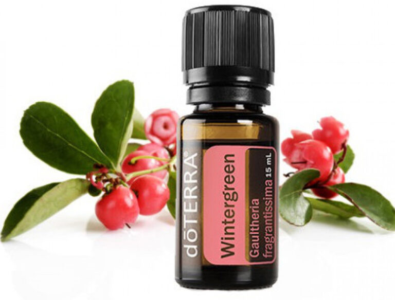 A Wintergreen illóolaj természetes fájdalomcsillapítóként, ízületi gyulladás csökkentőként és fertőtlenítőként is használható.