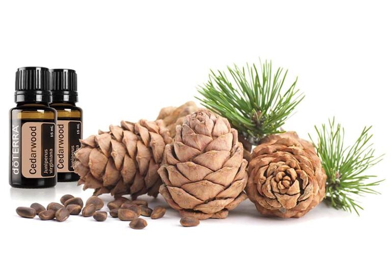Cédrusfa Vörös Cédrus Cedarwood esszenciális illóolaj