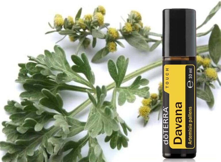 Davana illóolaj: a varázslatos aromájú gyógynövény Dél-Indiából