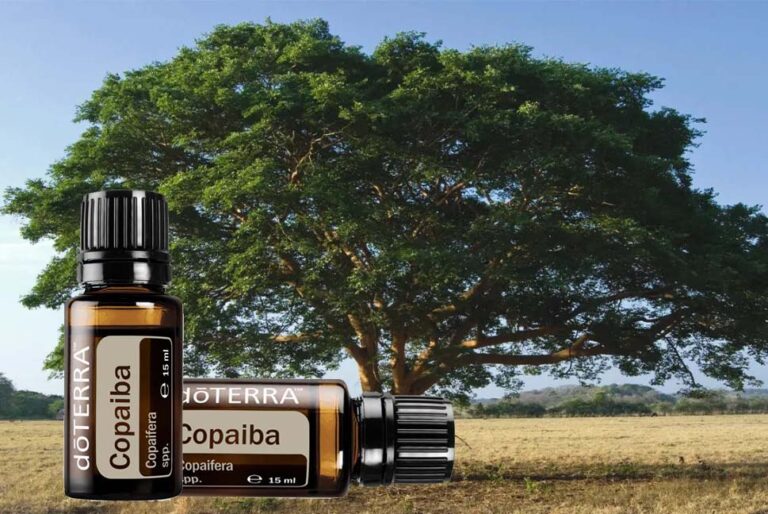 A Copaiba illóolaj használata, előnyei és különleges hatásai