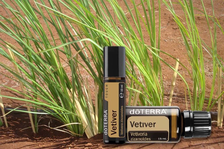 doTERRA Vetiver – Mély nyugalom egy cseppben
