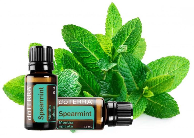 Fodormenta illóolaj – Frissesség és fókusz