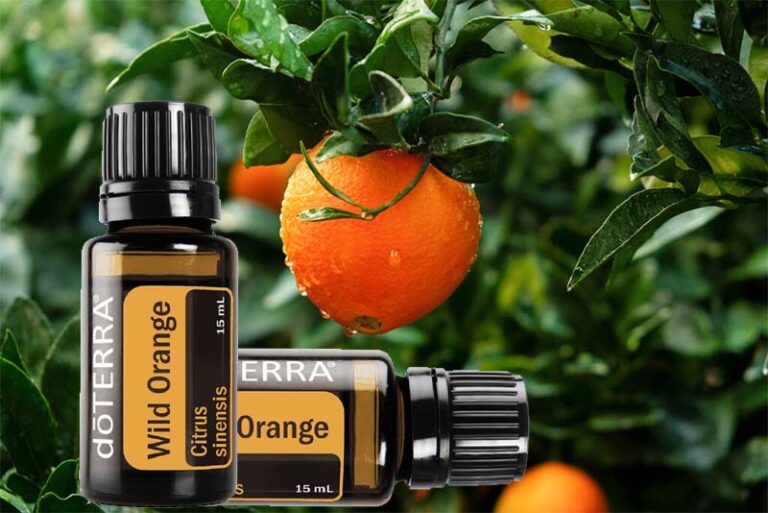 Vadnarancs illóolaj – a vidámság esszenciája