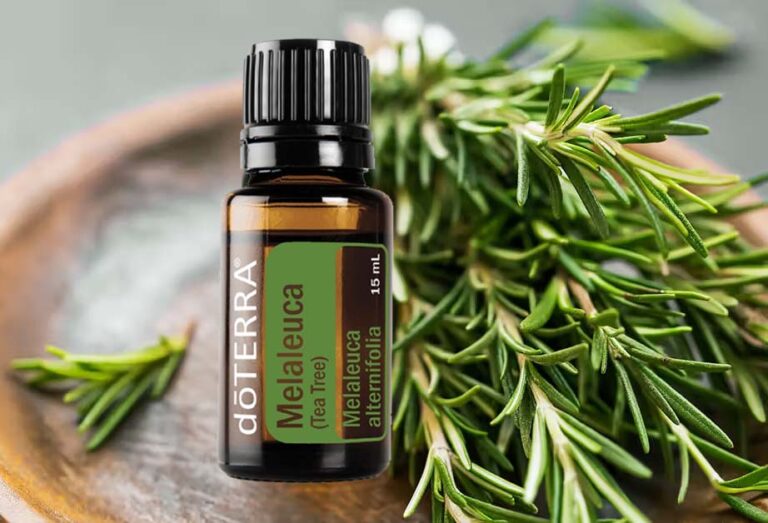 Teafa illóolaj – természetes tisztaság kívül-belül