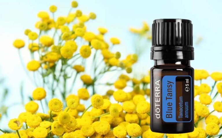 doTERRA Blue Tansy – A természet mélykék csodája a bőr és a lélek ápolására
