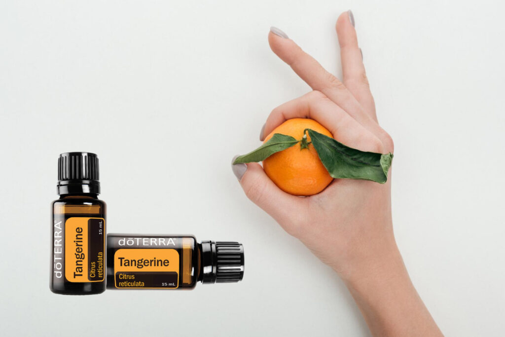 A mandarin illóolaj frissítő és harmonizáló hatású. Az immunerősítésre is alkalmas illóolaj felemelő és megnyugtató érzést kelt egyszerre.