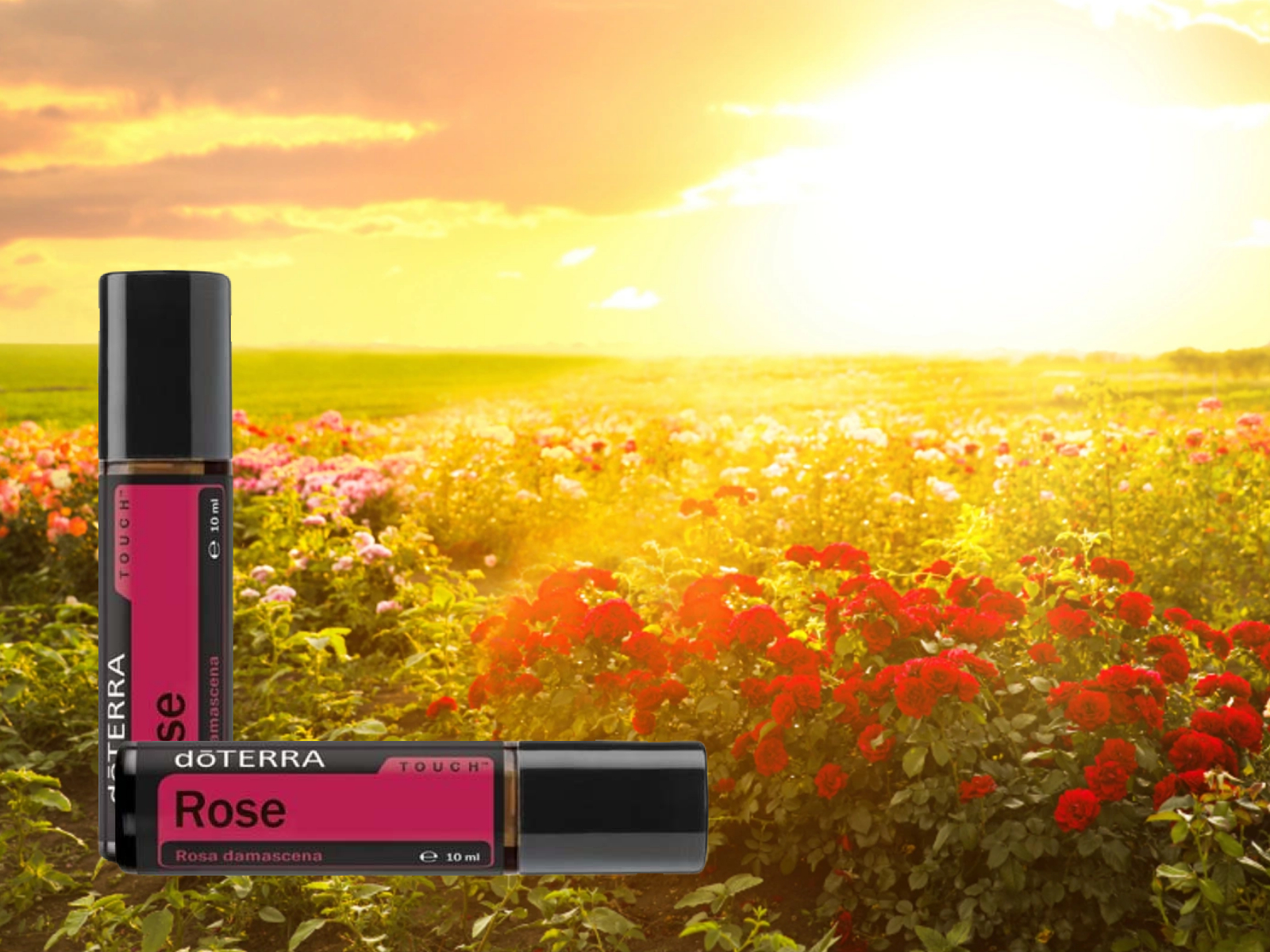 A Rózsa Touch nem csupán egy kellemes illatú olaj: sokak számára érzelmi támaszt, női harmóniát és természetes bőrápolást is jelent.