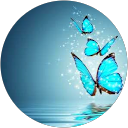 Dorina Várszegi profile picture