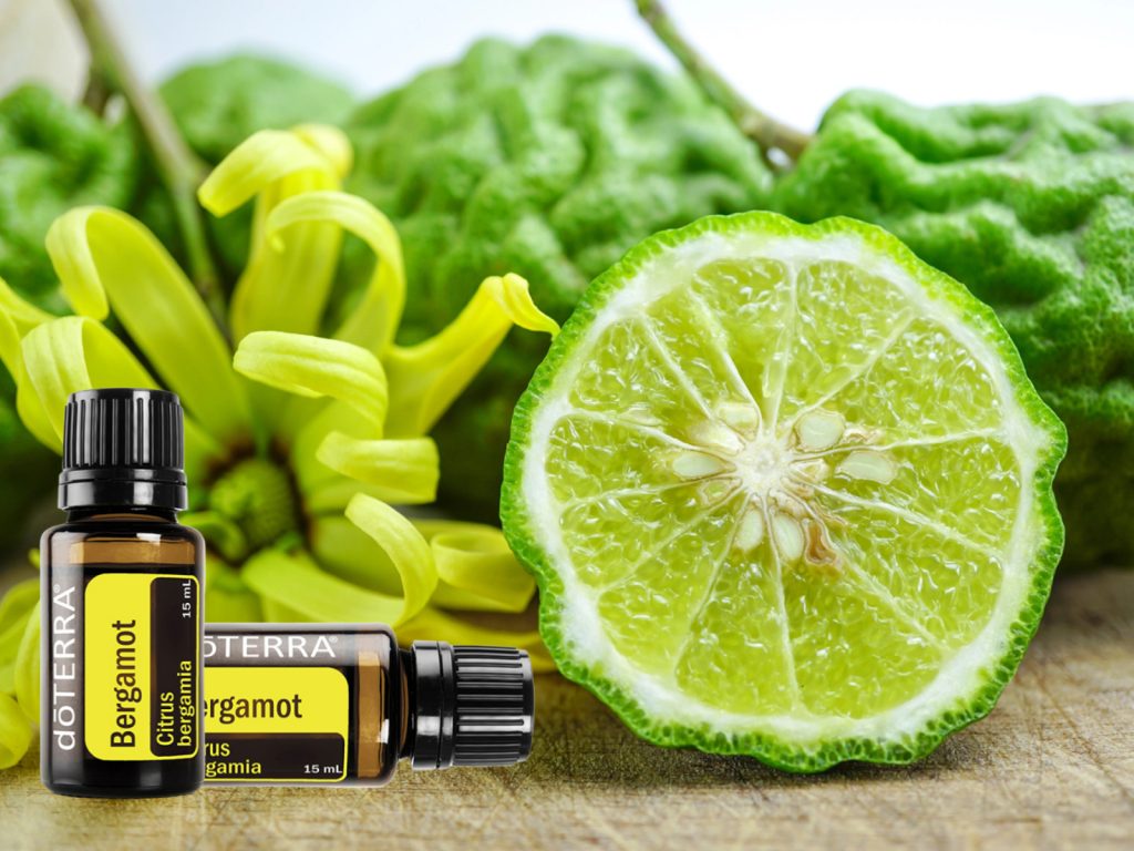 A Bergamot az egyik legkülönlegesebb citrusolaj, egyedi karakterrel rendelkezik: egyszerre frissítő, felemelő és nyugtató hatású.