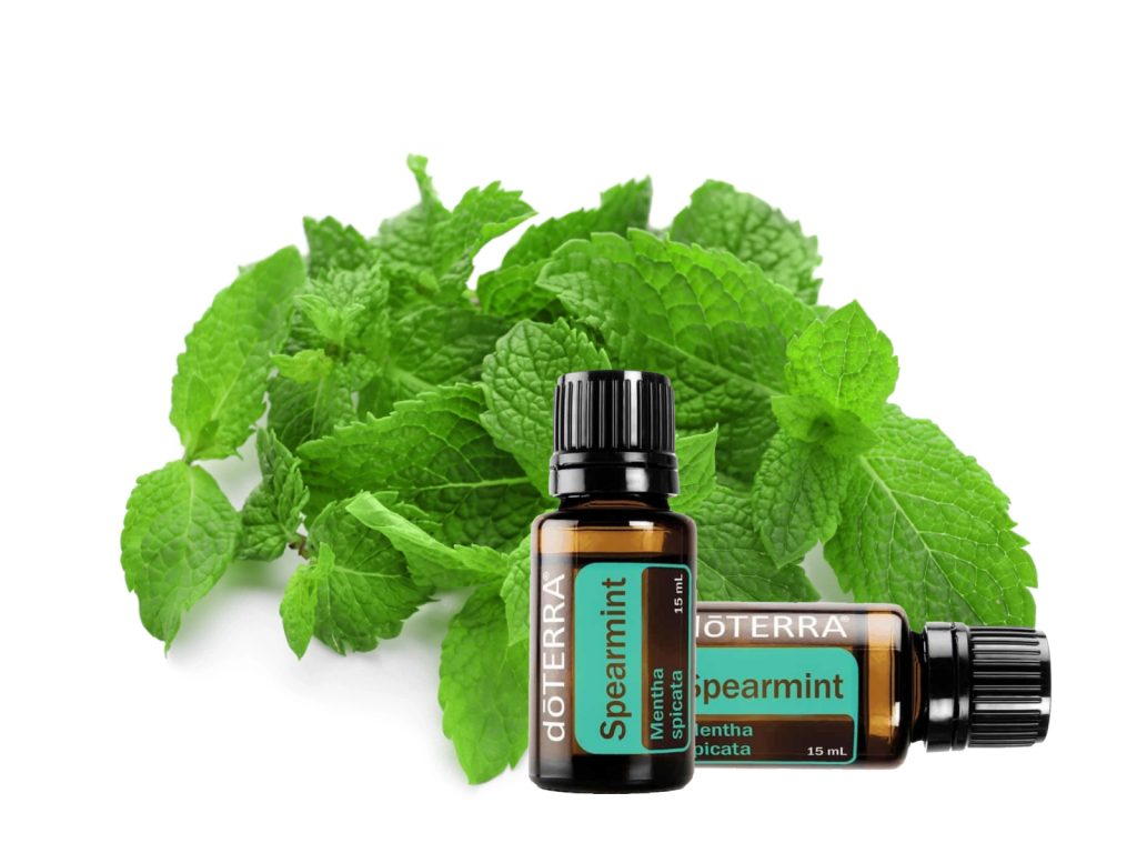 A doTERRA Fodormenta illóolaj frissítő, emésztést támogató és élénkítő tulajdonságai miatt népszerű. Illata lágyabb, mint a borsmentának.