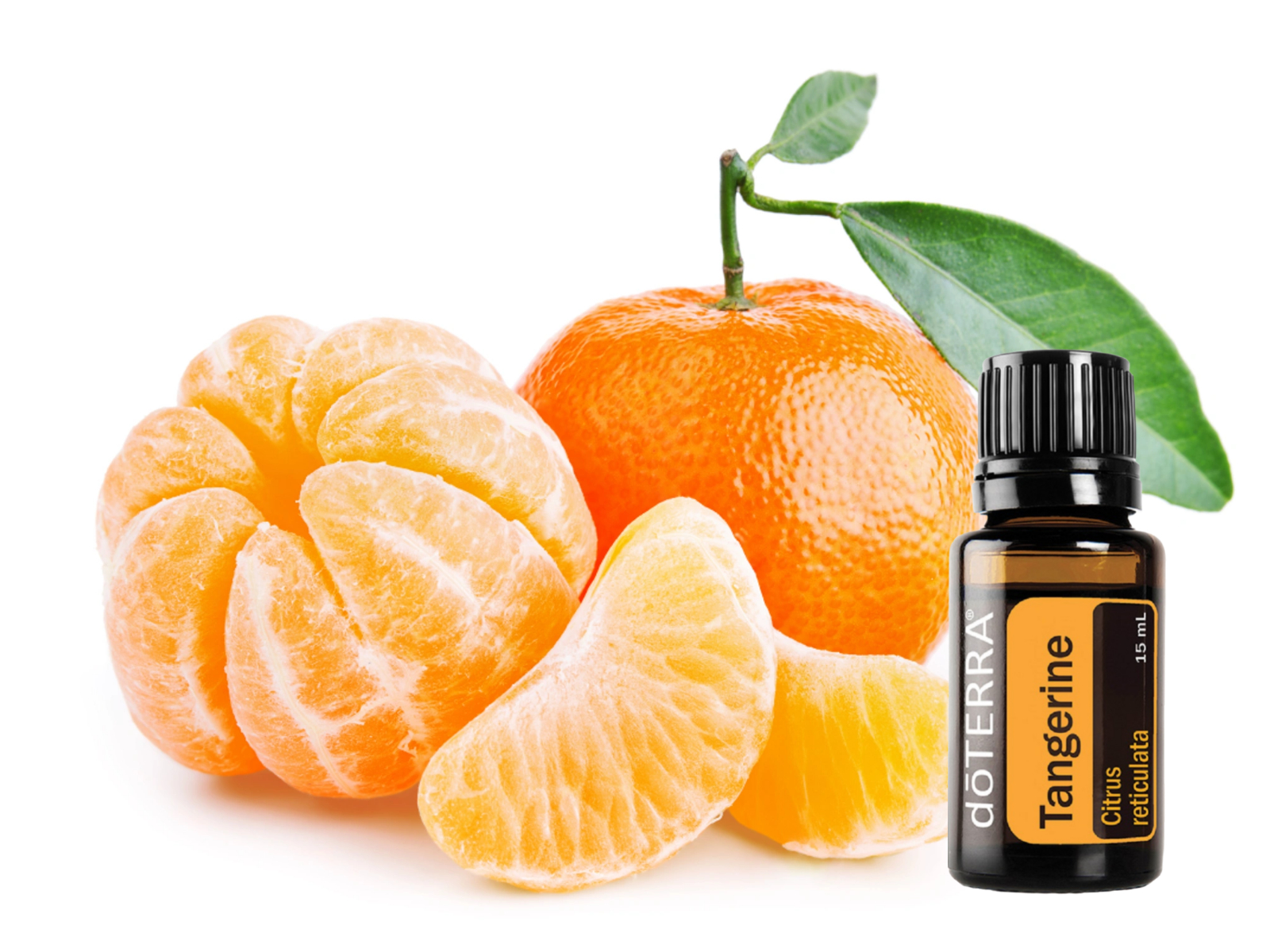 A doTERRA Mandarin illóolaj friss, édes citrusillat, amely támogatja a jó hangulatot, az emésztést, a relaxációt és a jó közérzetet.