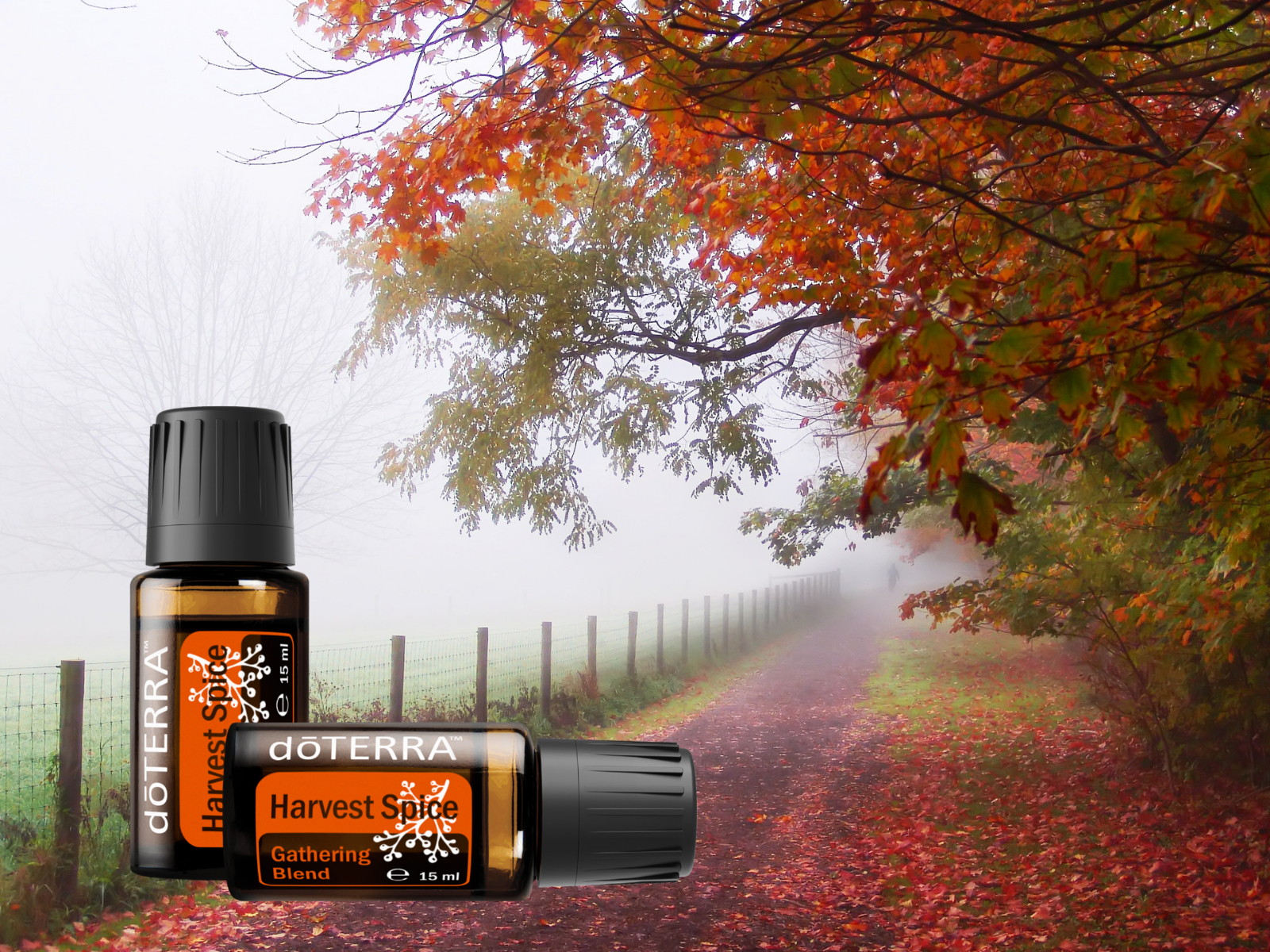 A doTERRA Harvest Spice egy fűszeres keverék, a kasszia, a szegfűszeg, a fahéj, a szerecsendió, a vörös cédrus és az eukaliptusz olajaival.